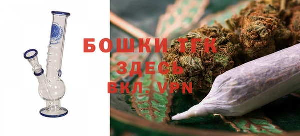 гидропоника Елабуга