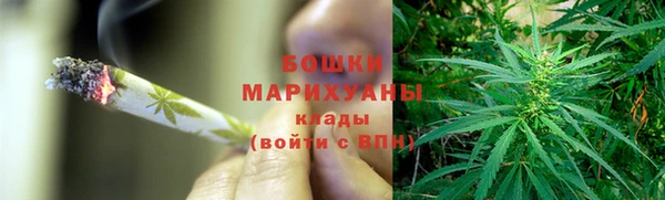 гидропоника Елабуга