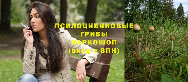 крисы Елизово