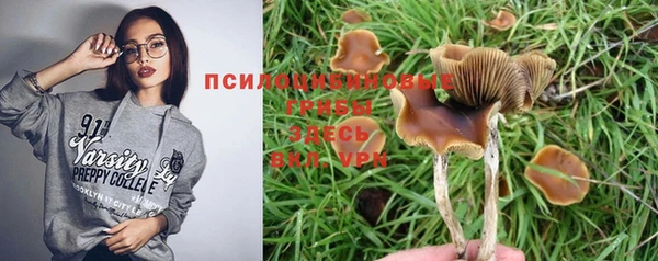 гашиш Ельня