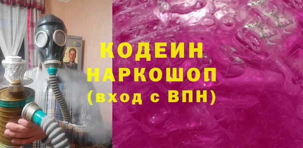 крисы Елизово