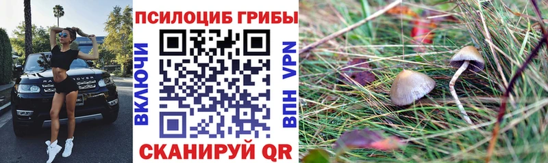 Галлюциногенные грибы мицелий  Ясногорск 