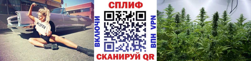 Бошки марихуана семена  Ясногорск 